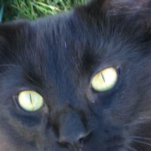 Meet your Posher, Beverly